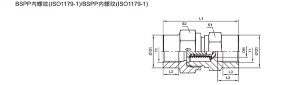 RHDI 單向閥 英制內螺紋-2.jpg